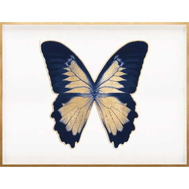 Contemporary Butterfly Royale, Blue 2 Framed Artwork For Sale - Image 3 of 3