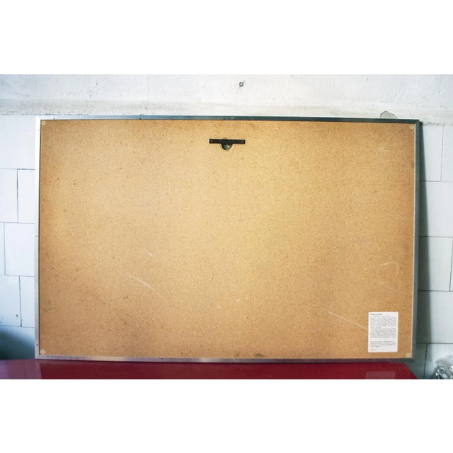 Vintage Italian Natura Print by Franco Fontana for AMAR collezioni Milano, 1976 For Sale - Image 6 of 8