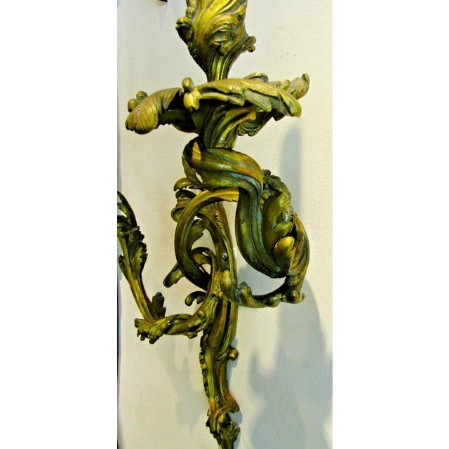 Antique French 19th Century Louis XV Gilt Bronze Two Light Wall Sconces - a Pair For Sale - Image 12 of 18