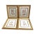 Set of 4 William Henry Harvey Seaweed For Sale