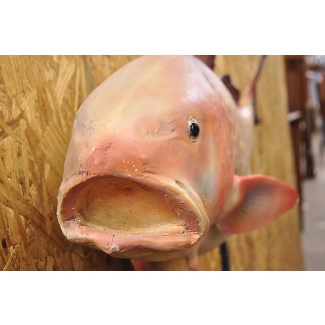 Plastic Vintage Large Red Drum Full Wall Mount Taxidermy Redfish Fish Replica For Sale - Image 7 of 12