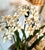 Vintage Mid-Century White Tole Narcissus Floral Arrangement Botanical Paperwhites Sculpture Circa 1950s For Sale - Image 9 of 11