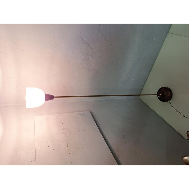 LTE6 Floor Lamp by Ignazio Gardella for Azucena, 1950s For Sale - Image 12 of 18