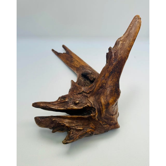 This naturally sculptural driftwood root piece has a striking birdlike profile depending on the angle, with a long beak...