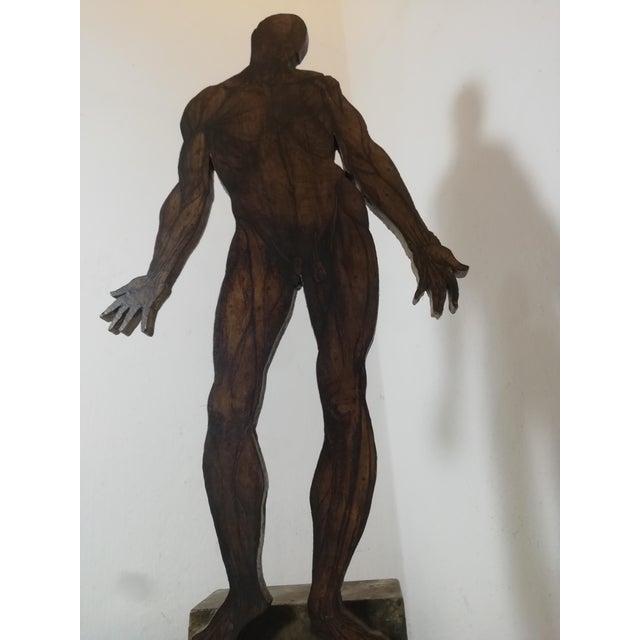 Antique anatomical model of the human body on a pedestal. The lymphatic system, nervous system, and muscles are depicted....
