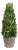 Boxwood Cone Topiary Drop-In 16" For Sale