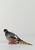 Vintage Pheasant Gravy Boat in Hand-Painted Ceramic, Italy, 1950s For Sale - Image 12 of 18