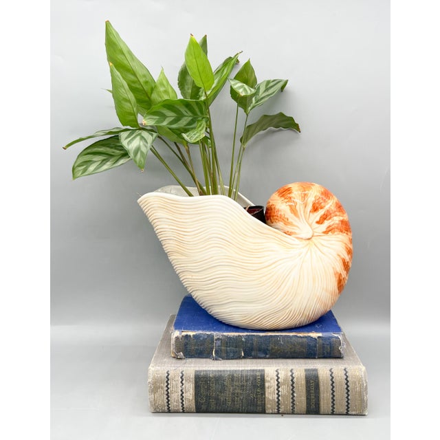 Sensational ceramic wine caddy from Fitz and Floyd’s Classics Seaboard collection, beautifully formed as a nautilus shell....