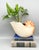 Sensational ceramic wine caddy from Fitz and Floyd’s Classics Seaboard collection, beautifully formed as a nautilus shell....