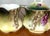 Signed A. Koch J&c Bavaria Hand-Painted Grape Porcelain Service - 5 pcs For Sale In Portland, OR - Image 6 of 12