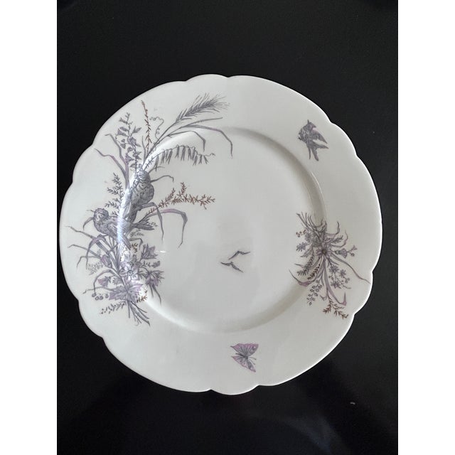 Porcelain Plates and Platter by Ch Pillivuyt & Cie, 1890s, Set of 8 For Sale - Image 9 of 17