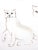 Wood Leonor Fini - Cats - Original Etching 1985 For Sale - Image 7 of 9