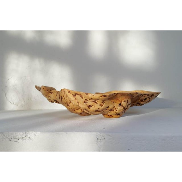 Large Swedish Folk Art Burl Curly Birch Bowl, 1980s For Sale - Image 3 of 16