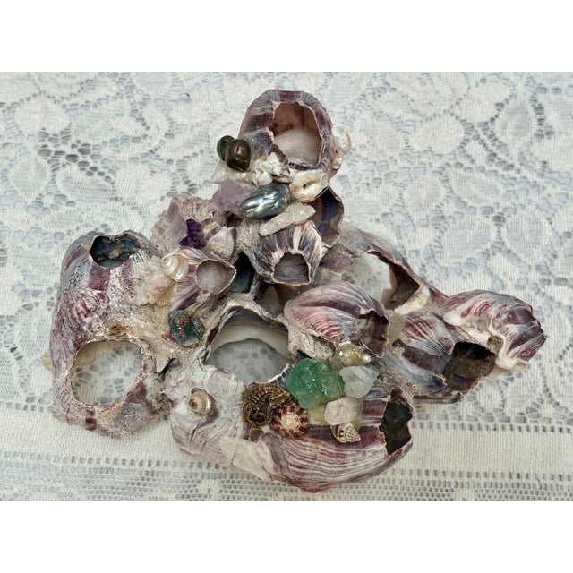 Sculptural Seaside Barnacle Cluster Decor Accent For Sale In Sacramento - Image 6 of 11