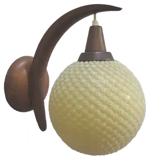 Mid-Century Danish Teak & Plastic Wall Lamp