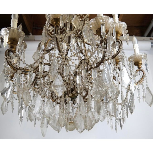 Mid 20th Century Louis XV Style Bronze and Crystal Twelve-Light Chandelier For Sale - Image 4 of 5