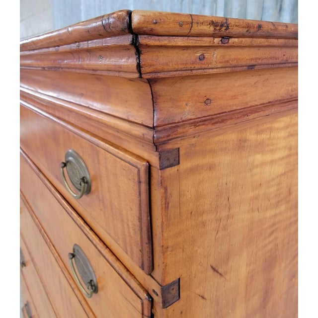 Brown Antique American Chippendale Tiger Maple Tall Chest / Dresser For Sale - Image 8 of 12
