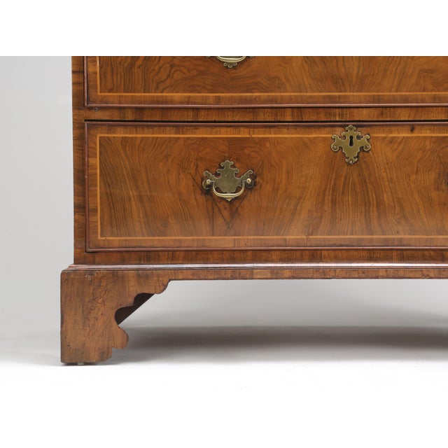 Chestnut Antique English Chest on Chest, Burl Walnut, 1880s For Sale - Image 8 of 15