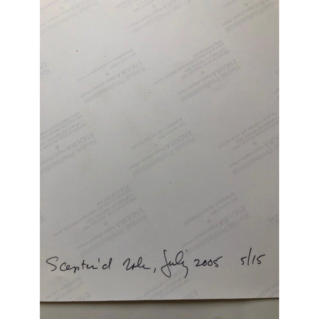 American Peter C. Jones Botanical Still Life Color Photograph, 2005 For Sale - Image 3 of 6