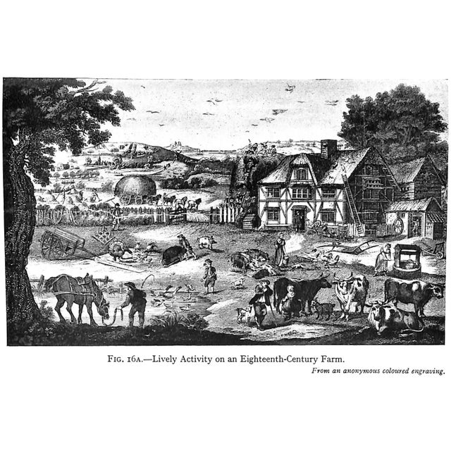 "A History of Everyday Things in England Volume III 1733 to 1851" 1954 Quennell, Marjorie & c.h.b. For Sale - Image 9 of 11