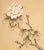 C. 1950s Vintage Chinese Watercolor Scroll Painting "Peonies" on Silk, Signed For Sale - Image 9 of 12