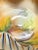 Vintage 1930s Woodland Noritake Morimura Hand Painted China Striped and Walnut Pattern Bowl For Sale - Image 12 of 12