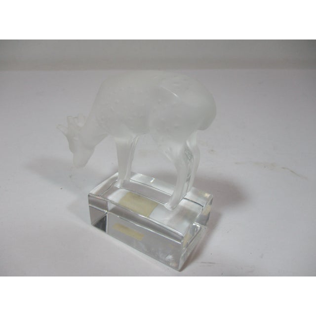 Lalique Lalique Deer Crystal Figurine For Sale - Image 4 of 13