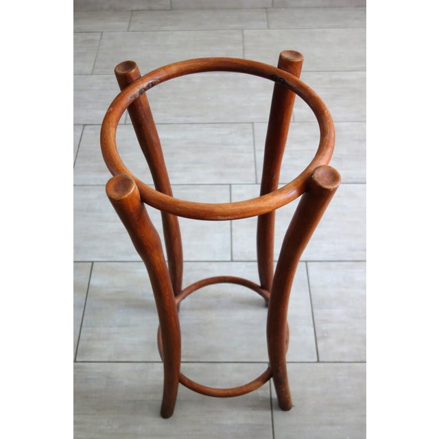 Umbrella Stand from Thonet, 1890s For Sale - Image 5 of 12