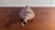 1960s Robert Maxwell Beastie Critter MCM Ceramic 1960’s Signed Sculpture For Sale - Image 5 of 8