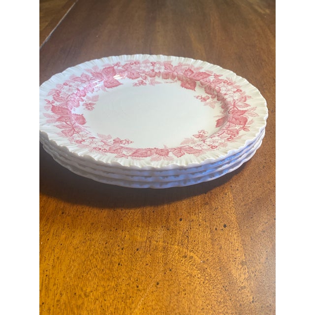 Wedgwood Bramble Pink 8.25” Scolloped edge Plates, made in England, each plate has the back stamp, and the engraving stamp...