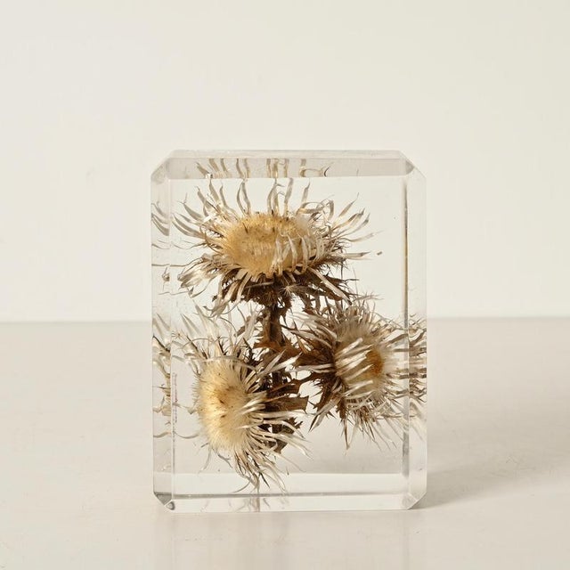 Acrylic Glass Paperweight with Encased Flowers by Pierre Giraudon, France, 1970s For Sale - Image 3 of 14