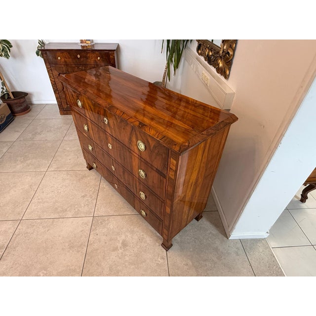 Biedermeier Chest of Drawers in Walnut For Sale - Image 14 of 17