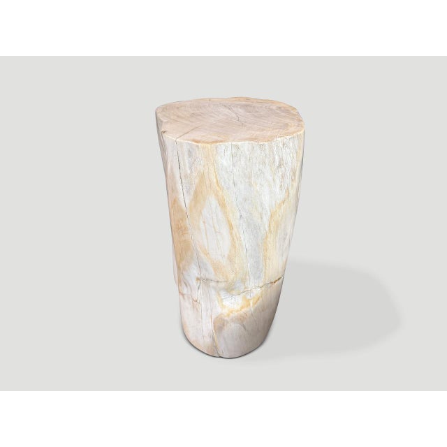 2020s Andrianna Shamaris Minimalist Modern Organic Petrified Wood Side Table For Sale - Image 5 of 5