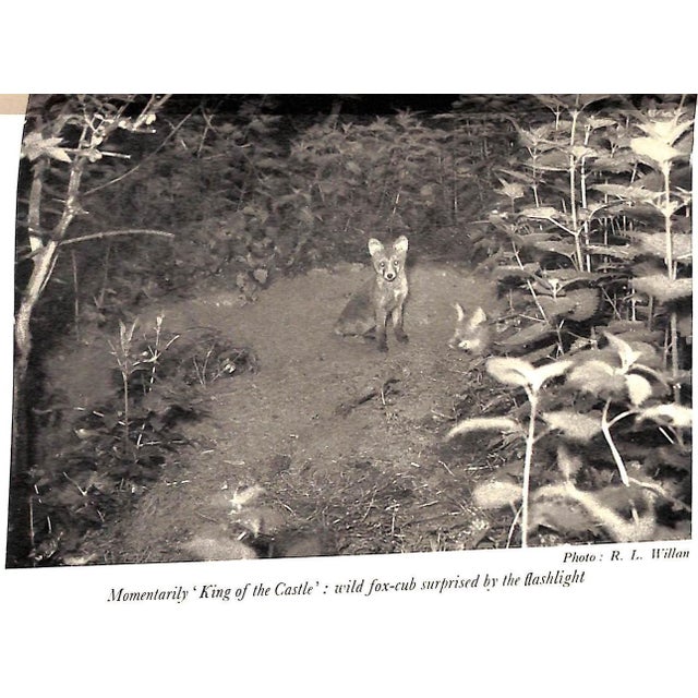 Paper "The Way of a Fox" 1951 Leger-Gordon, D. St. For Sale - Image 7 of 9