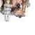 Dolls from Armand Marseille, 19th Century, Set of 6 For Sale - Image 5 of 6