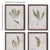 This sweet little set of frond prints features hand written botanist notes. They make a great addition among artifacts in...