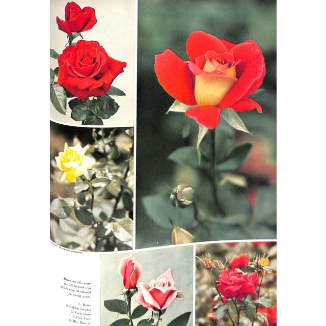 Paper "House & Garden's New Complete Book of Gardens" 1955 For Sale - Image 7 of 12