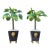 Vintage Pair Miniature Tole Palm Tree Sculptures For Sale
