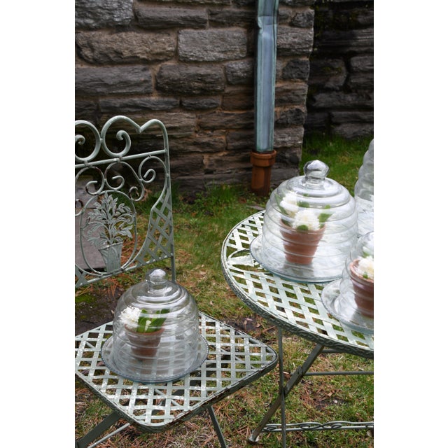Originally used to protect tender plants from frost in kitchen gardens across France and England, this bell-shaped glass...