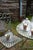 Originally used to protect tender plants from frost in kitchen gardens across France and England, this bell-shaped glass...