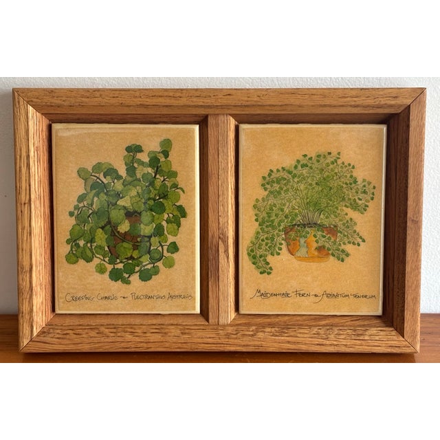 Framed Plant Tiles, Creeping Charlie and Maidenhair Fern For Sale - Image 6 of 6