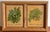 Framed Plant Tiles, Creeping Charlie and Maidenhair Fern For Sale - Image 6 of 6
