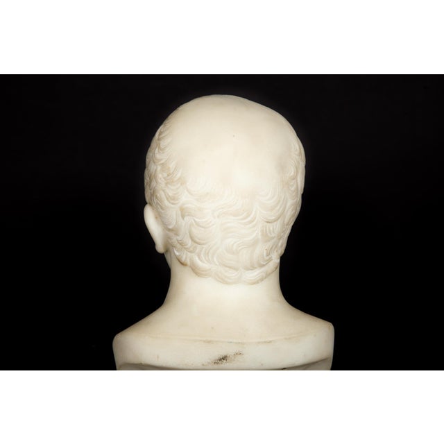 Italian Grand Tour Antique Marble Bust of Marcus Cicero, 19th Century For Sale - Image 12 of 13
