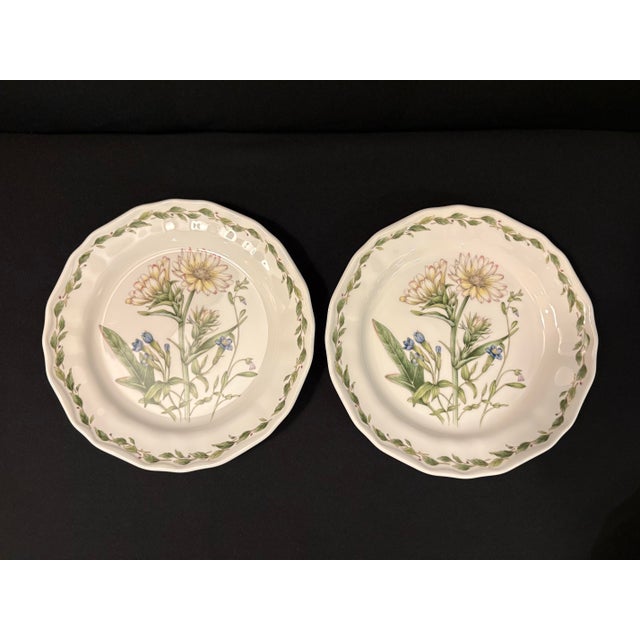 Shabby Chic Noritake Casual Gourmet Stoneware Dishes From the Gourmet Garden Collection - Set of Nine For Sale - Image 3 of 8