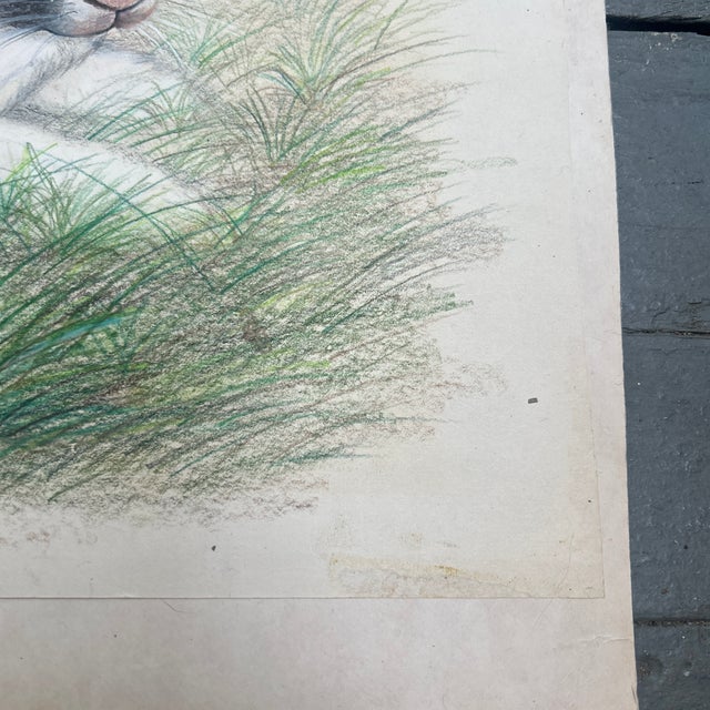 1970’s Original Rabbits in Field Colored Pencil Drawing For Sale - Image 4 of 7