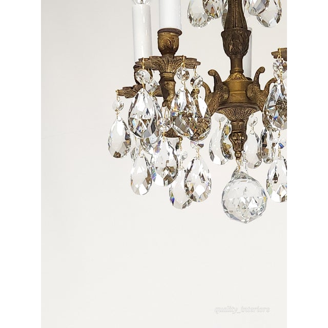 Share Antique Teeny Tiny Twinkling 5 Arm 5 Light Brass Cut Lead Crystal Chandelier ~ Rewired ~ Restored ~ Rejuvenated ~ Ready to Hang ~ For Sale In South Bend - Image 6 of 12