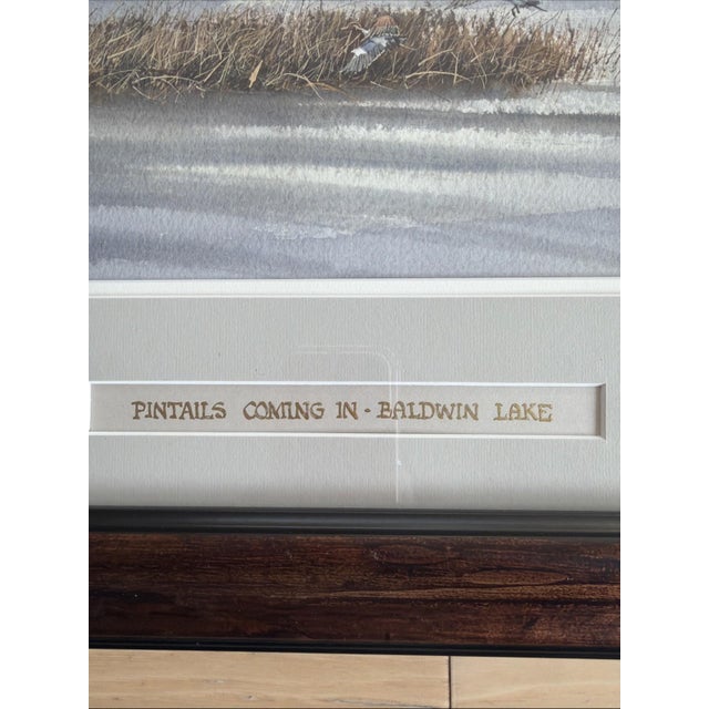 Original 1994 Signed Louis Weber Watercolor Pintails Ducks Baldwin Lake CA For Sale In Los Angeles - Image 6 of 10