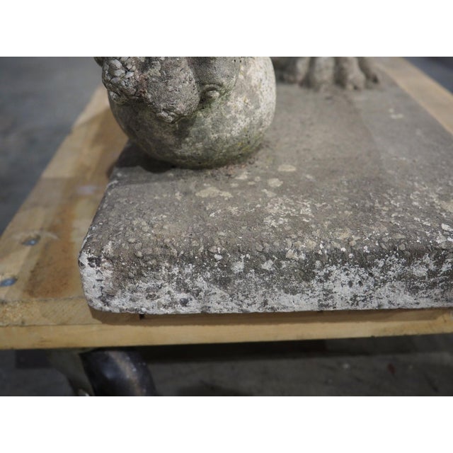 A French Medici Style Lion in Reconstituted Stone, 20th C For Sale - Image 15 of 18