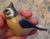 Traditional Royal Copenhagen “Crested Tit” Porcelain Figurine For Sale - Image 3 of 8