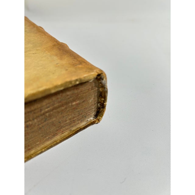 17th Century Illustrated Vellum Book, Ulisse Aldrovandi's Serpentum Et Draconum Historiæ Libri Duo For Sale - Image 10 of 12